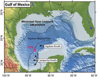 Amount and Fate of Gas and Oil Discharged at 3400 m Water Depth From a Natural Seep Site in the Southern Gulf of Mexico